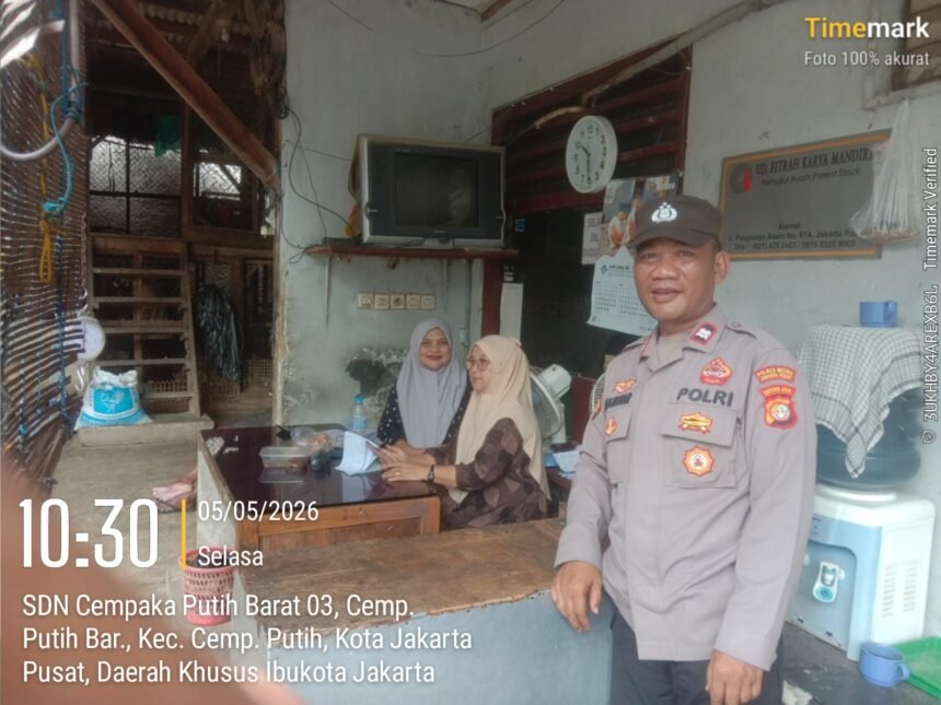 IMG 20260505 WA0242