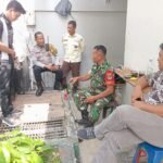 IMG 20260506 WA0203