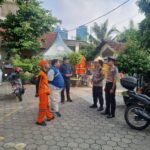 IMG 20260507 WA0010
