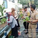 IMG 20260511 WA0156