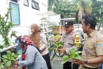IMG 20260511 WA0156