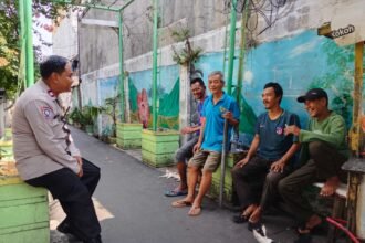IMG 20260514 WA0250