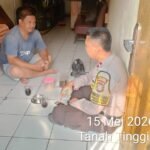 IMG 20260515 WA0119