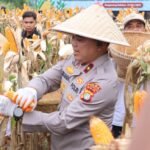 IMG 20260516 WA0116