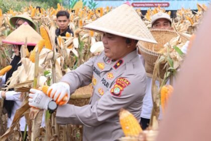 IMG 20260516 WA0116