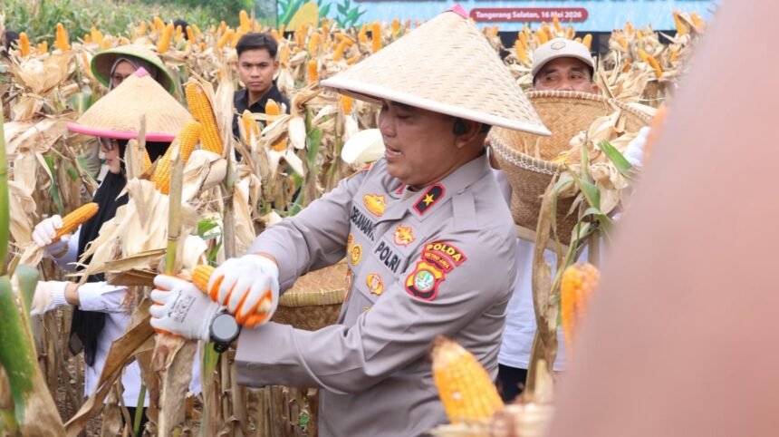 IMG 20260516 WA0116
