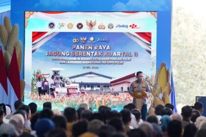 IMG 20260516 WA0117