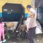 IMG 20260517 WA0161