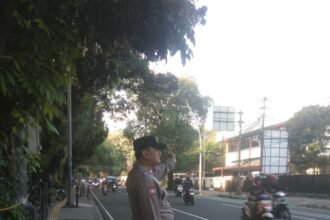 IMG 20260518 WA0081