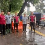 IMG 20260520 WA0210