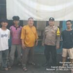 IMG 20260525 WA0124