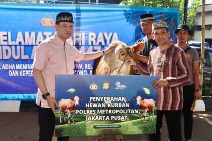 IMG 20260527 WA0117