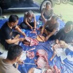 IMG 20260528 WA0240