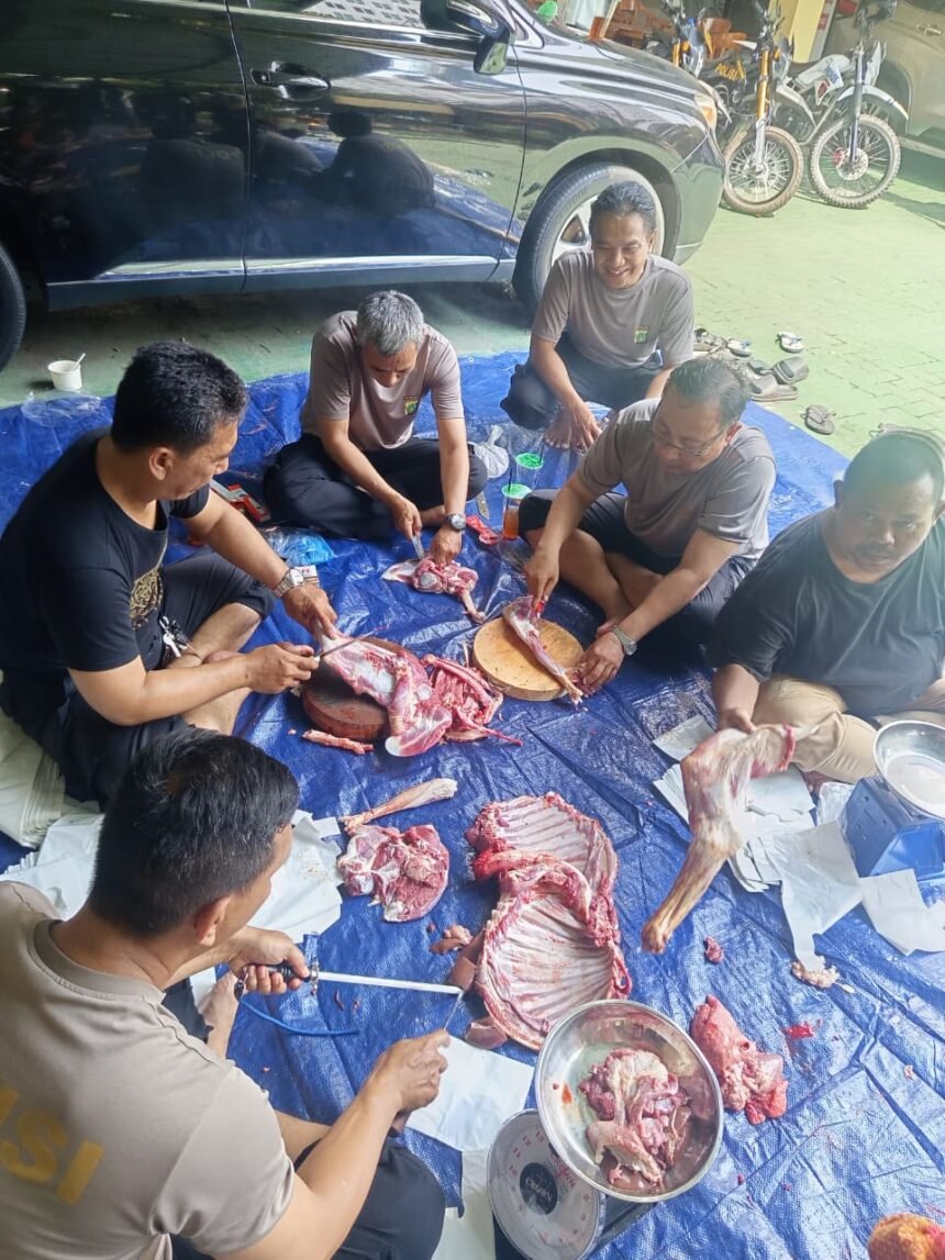 IMG 20260528 WA0240