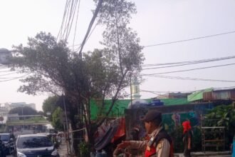IMG 20260529 WA0306