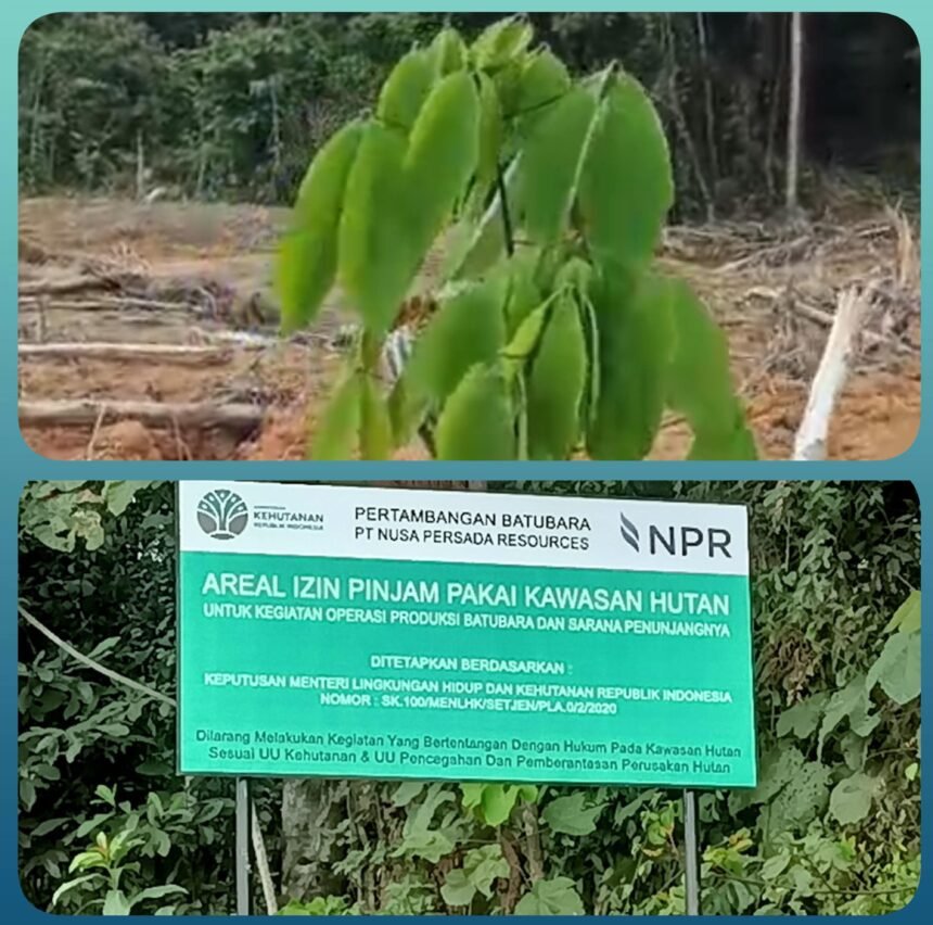 IMG 20260602 WA0113