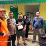 IMG 20260603 WA0133