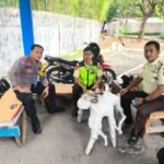IMG 20260615 WA0172