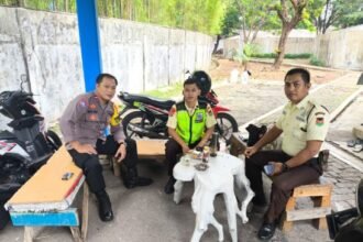 IMG 20260615 WA0172