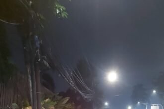 IMG 20260616 WA0237