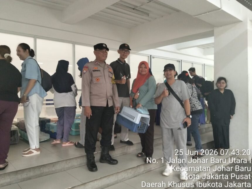 IMG 20260625 WA0187
