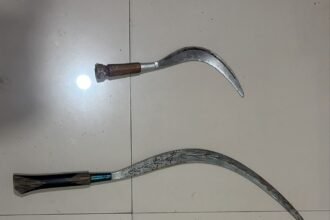 IMG 20260628 WA0144