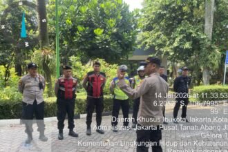 IMG 20260714 WA0256