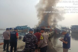 IMG 20260720 WA0135