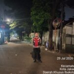IMG 20260729 WA0013