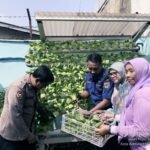 IMG 20260731 WA0230