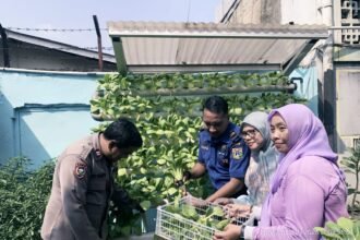 IMG 20260731 WA0230