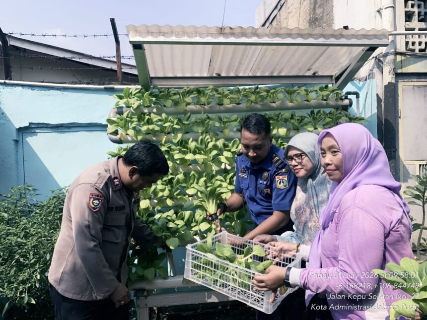 IMG 20260731 WA0230