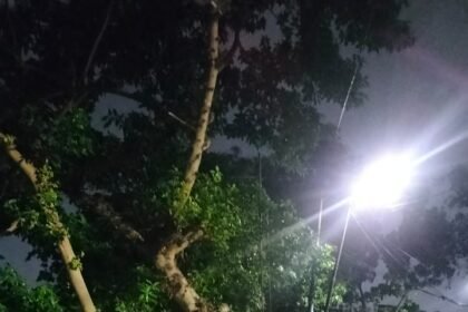 IMG 20260801 WA0021