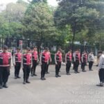 IMG 20260801 WA0206