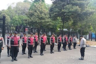 IMG 20260801 WA0206