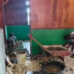 IMG 20260806 WA0141