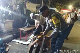 IMG 20260806 WA0253