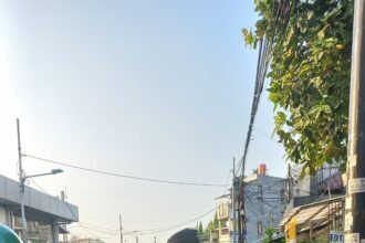 IMG 20260810 WA0310