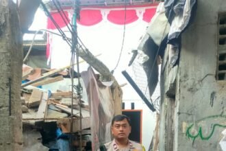 IMG 20260810 WA0314