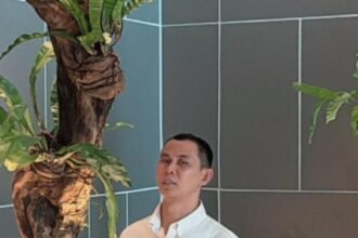 IMG 20260814 WA0252