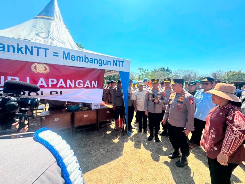 IMG 20260818 WA0172