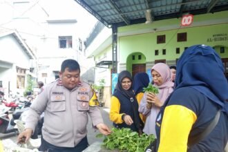 IMG 20260820 WA0263