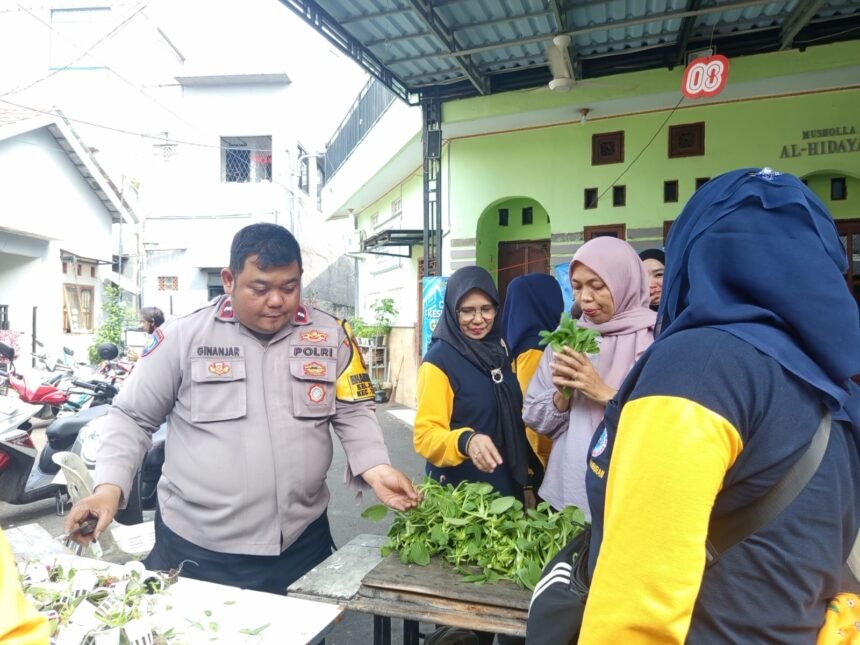 IMG 20260820 WA0263