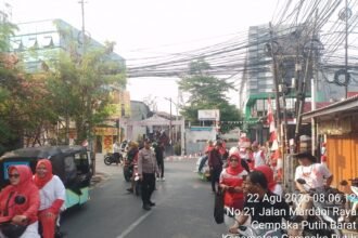 IMG 20260822 WA0251