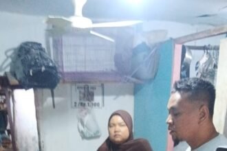 IMG 20260913 WA0291