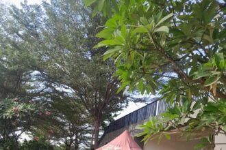 IMG 20260921 WA0264