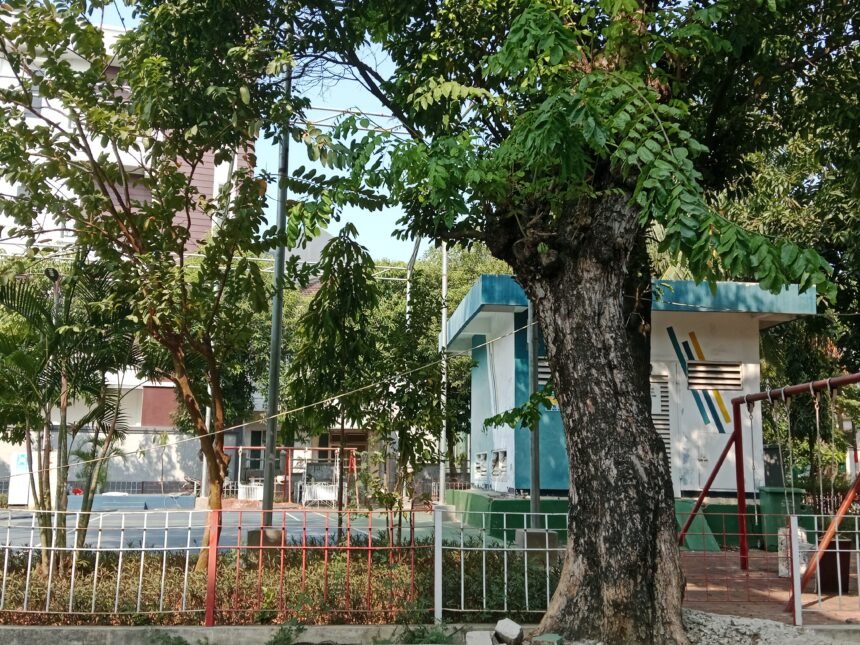 IMG 20260921 143402
