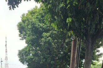 IMG 20260930 WA0278