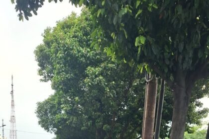 IMG 20260930 WA0278