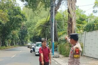 IMG 20261002 WA0020